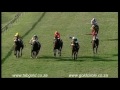 20170803 scottsville race 5 won by baltic amber