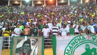 Meu Palmeiras - Meu Palmeiras