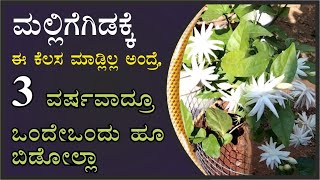 ಮಲ್ಲಿಗೆಗಿಡಕ್ಕೆ ಈ ಕೆಲಸ ಮಾಡ್ಲಿಲ್ಲಾ ಅಂದ್ರೆ ಒಂದೇಒಂದು ಹೂ ಬಿಡೋಲ್ಲ #marysmanegarden  #Jasmine #gardener#how