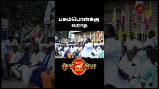 பசும்பொன்க்கு ஏன் வர்ர பசும்பொன் க்கு வராத காரணம் என்ன தெரியுமா