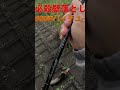 必殺技壁落としで60upバイチュー＃shorts ナマズ釣り デイナマ fishing