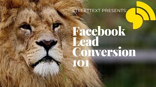 Facebook Lead Conversion Class 101- 04/30