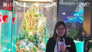 LDI 2023: Unilumin Group 1.9-mm Pixel Pitch UpadIV-S Flexible dvLED Display