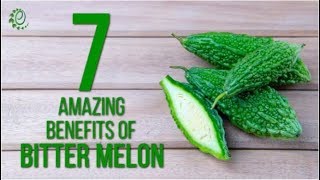 7 Amazing Benefits Of Bitter Melon | Organic Facts