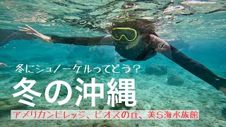 【暖かいの？】冬の沖縄、ベッセルホテルカンパーナ沖縄泊/アメリカンビレッジ、美ら海水族館、ビオスの丘、沖縄グルメ【冬の沖縄２泊３日旅】