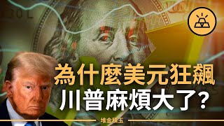 美元狂飆，川普麻煩大了？內幕曝光！美元飆升會成為川普的“緊箍咒”嗎？|美元一路狂飆的背後