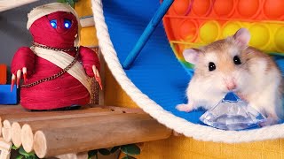 MAJOR HAMSTER vs POP IT TEMPLE MAZE - Real life pet hamster action