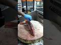 Amazing Red Snapper Fish Cutting Skills#shorts