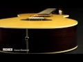 The Breedlove Premier Series Guitars