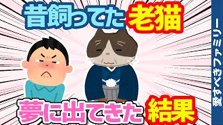 【2ch猫ほっこり話5連発】昔飼ってた老猫が人間の姿で夢に出てきた→そして...