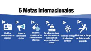 Metas Internacionales