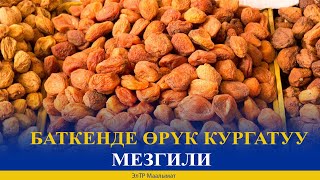 БАТКЕНДЕ ӨРҮК КУРГАТУУ МЕЗГИЛИ