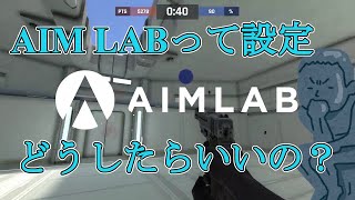 初期設定でAIMLABプレイしてませんか？初心者向けAIM LAB設定の仕方