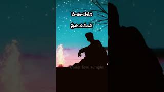 సమ్మతి లేని సుడిగుండాలే... సాంగ్#christlovetemple