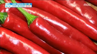 [Happyday]Stress is a special drug! mashed red pepper ! 스트  레스에 특효약! 홍고추![기분 좋은 날] 20180611