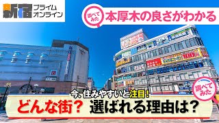 【神奈川 観光 2024年 最新版 】本厚木駅のミロードやラーメン・居酒屋・レストランなどランチ情報や遊ぶところを紹介 新しくできたホテル 花火大会 鮎まつり 花火大会 賃貸や中古マンション ご飯情報