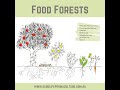 Food Forests