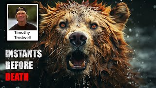 Why You Should Avoid Bears | The Tragic Story of Timothy Treadwell