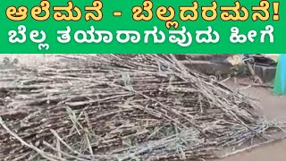 ಆಲೆಮನೆ - ಬೆಲ್ಲದರಮನೆ | Alemane Bella/ Jaggery Sirsi