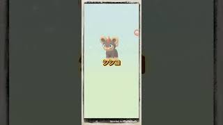 色違いメラルバゲットなるか？5キロ卵4連割り　#ポケモンGO　#shorts