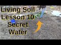 Living Soil Lesson 10 The Secret Of Water 1-13-2022