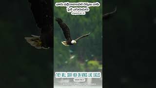 “They will soar high on wings like eagles. .”‭‭Isaiah‬ ‭40‬:‭31‬ ‭#CLJC #PROMISE2025 #SOARINGHIGH