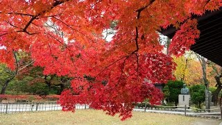 上田城址・小諸城址懐古園