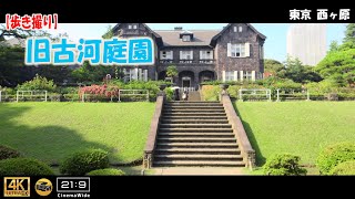 【歩き撮り】🌹2022春  旧古河庭園(薔薇)@東京 西ヶ原 ４K (21:9)  Tokyo walking video ［rose］