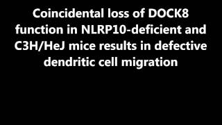 PNAS : Coincidental loss of DOCK8 function in NLRP10-deficient and C3H/HeJ...