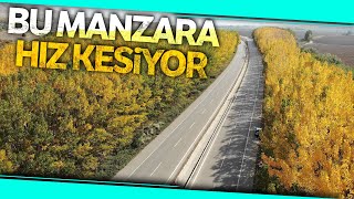 Tokat'ta Mest Eden Sonbahar Manzarası