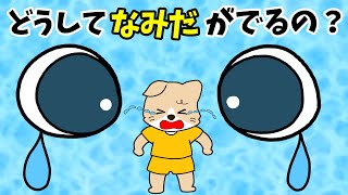 【アニメ 絵本読み聞かせ】どうして涙がでるの？〜涙の役目〜