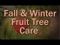 Fall and Winter Fruit Tree Care