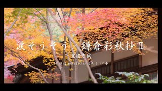 涙そうそう（森山良子）／鎌倉彩秋抄Ⅱ 覚園寺編  心に響く曲 懐かしの名曲 絶対訪れるべき鎌倉の寺 古刹 ancient temple Kamakura Japan 侘び寂び WabiSabi