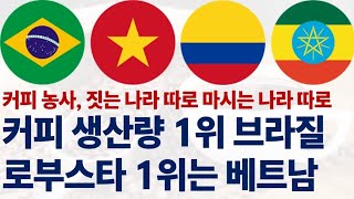 2024 전세계 커피 생산량 순위에 대해 알아보자!