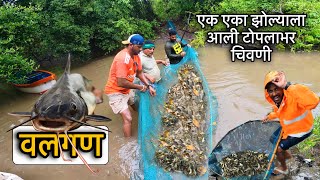 वलगण | झोलाला आली आसू भरुन चिवनी | किती टप चिवनी भेटली | Catfish Fishing | Chivani | Valgan