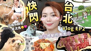 🇹🇼 快閃台北Vlog EP2｜超好玩全齢公園🛝玩得樂而忘返！ 必吃美食🥹幸運吃到預約到2025年的牛肉麵🍜 任摸水豚君、小鹿斑比🦫🦌🦙夏天必入手台灣有機護膚品 乾敏肌大愛🩷（合作）