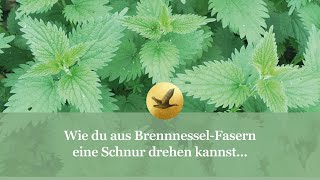 Wie du eine Schnur aus Brennnessel drehen kannst