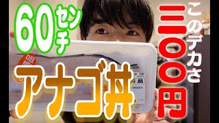 【元フレンチシェフ俳優】300円の激安アナゴで最高の丼作ります