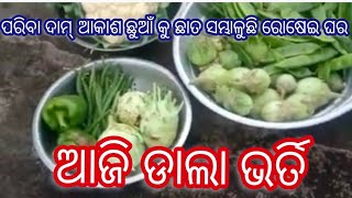 କେତେ ସାରା ପରିବା ତୋଳିଲି ଦେଖନ୍ତୁ@namitaskitchengarden9693