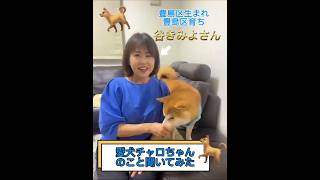 ✨愛犬チャロ🐕