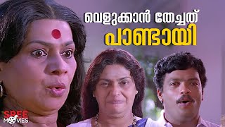 വെളുക്കാൻ തേച്ചത് പാണ്ടായി | Simhavalan Menon Comedy Scene | Jagadish | Madhu #comedyscene