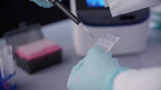 How to accelerate your cell counting with Rapid Capture on Countess 3 Automated Cell Counters