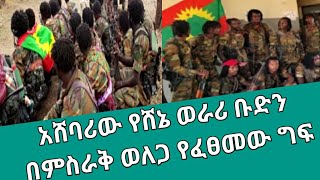 Ethiopian:አሸባሪው የሸኔ ወራሪ ቡድን በምስራቅ ወለጋ/Abelbirhanu/Topmereja/wollotube