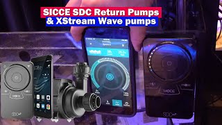 SICCE Syncra and XStream Wave \u0026 SDC Return Pumps  -0 Rap 2019