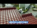 検net株式会社　雨漏調査動画