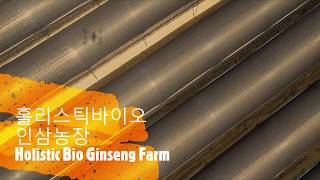 홀리스틱바이오 인삼 농장 (Holistic Bio Ginseng Farm)