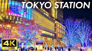 【日本のイルミネーション 2023】夜の東京駅 丸の内イルミネーション 銀座 #4K