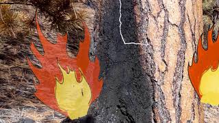 Learning the history of fire