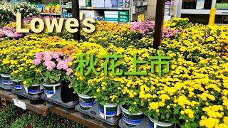 Lowe's 秋花上市