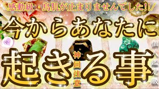 [🌈涙腺破壊]💖今から1週間🙌個人鑑定ですか⁉️[当たるタロット]🌟週の最初、中頃、後半、起こりそうな事✨気をつけるべき事💖超詳細✨重要メッセージ💖